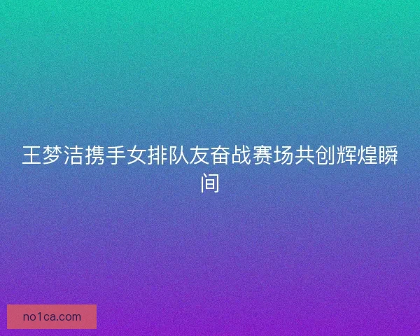 王梦洁携手女排队友奋战赛场共创辉煌瞬间